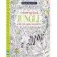 Colouring Book Jungle with Rub Downs