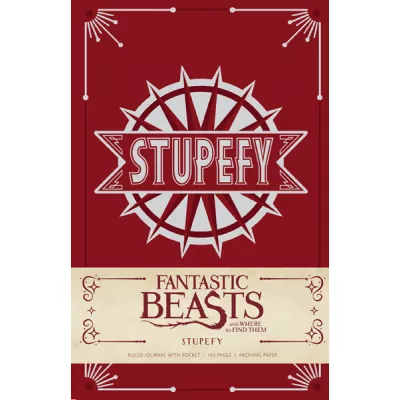 Дневник Fantastic Beasts: Stupefy 