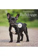 Календар Französische Bulldogge 2020