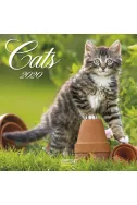Календар Cats 2020