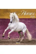 Календар Horses 2020