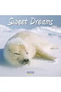 Календар Sweet Dreams 2020