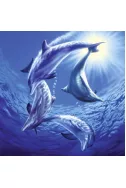 Пъзел Dolphins at Play - 1000