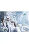 Ice Fairy - 1000