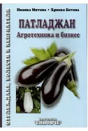 Патладжан - Агротехника и бизнес
