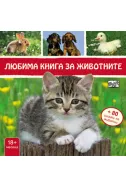 Любима книга за животните - Коте
