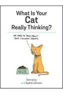 What is Your Cat Really Thinking?