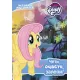 My Little Pony: История от сериала