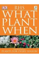 What Plant When