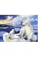 Polar Bears - 1000