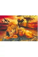 Lion family - 100